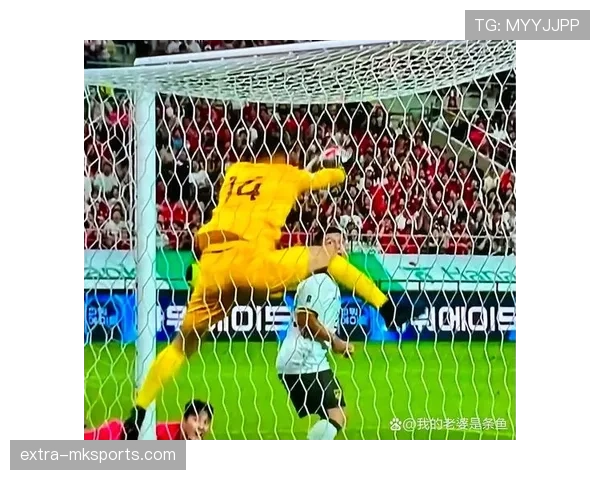 日本世界杯表现预测